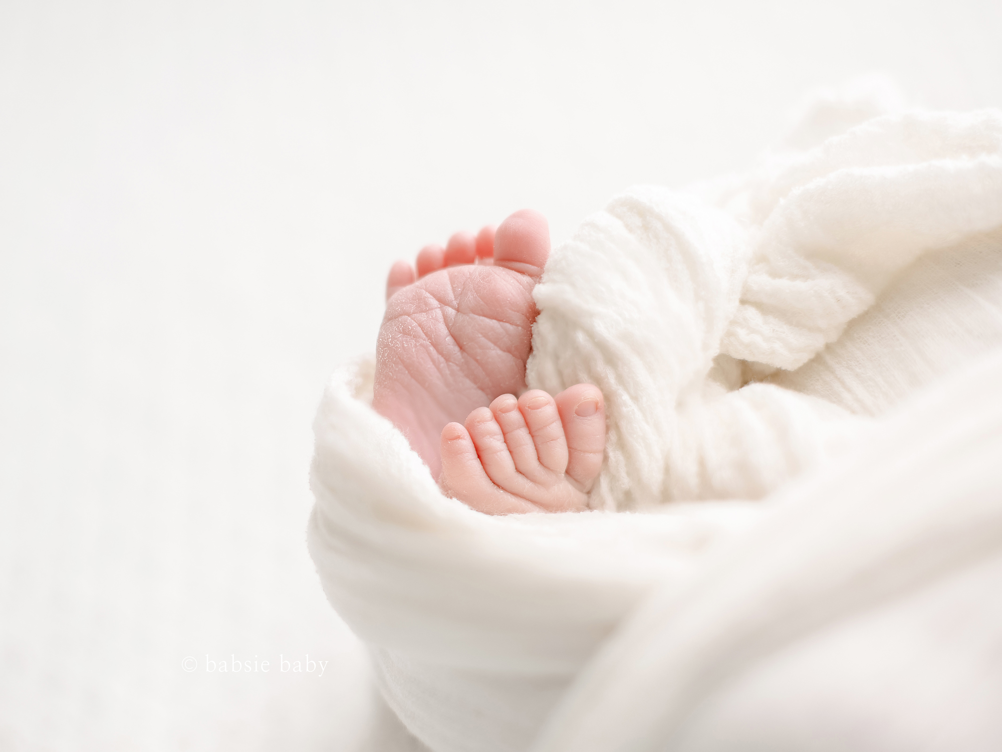 Baby feet at a newborn session.